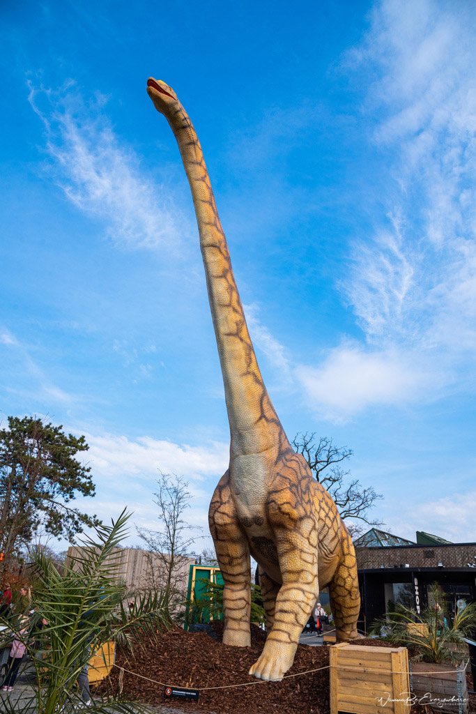 丹麥哥本哈根動(dòng)物園